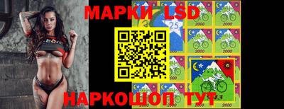 стаф Добрянка