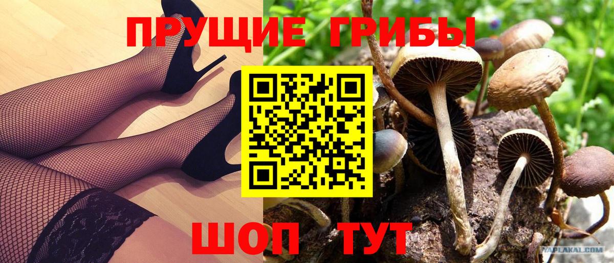 Галлюциногенные грибы ЛСД  Вход с VPN  дарнет шоп  Коряжма  Псилоцибиновые грибы прущие грибы 