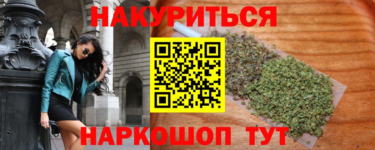 Бошки Шишки сатива Коряжма